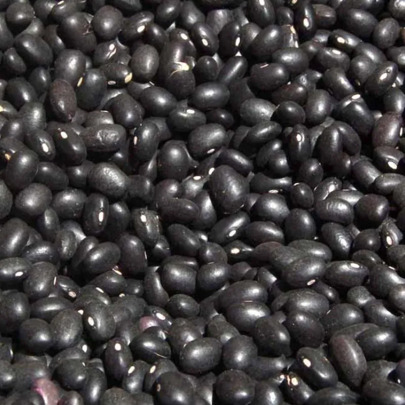 Frijoles negros 