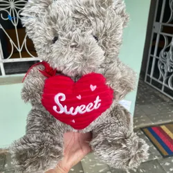 Osito gris de corazón 