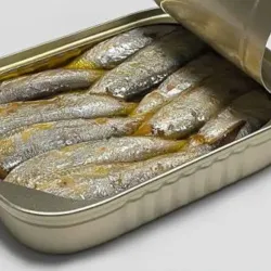 Lata de Sardina