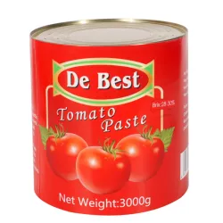 Pasta de Tomate 3000g