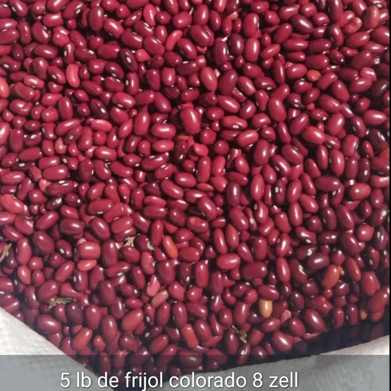 Frijoles colorados 
