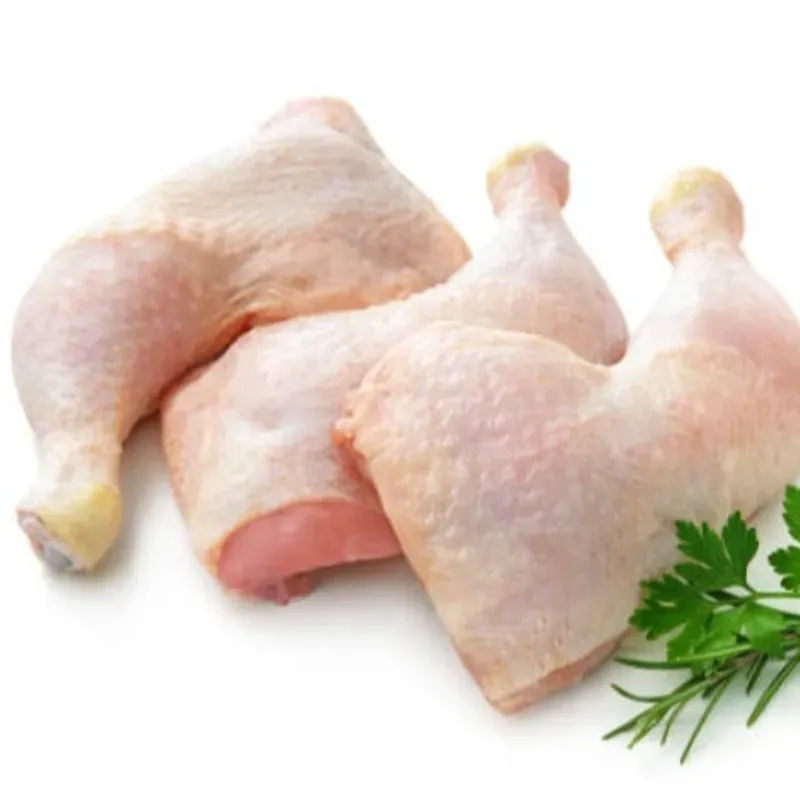 Pollo