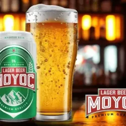 Cerveza Moyoc (24 unidades)