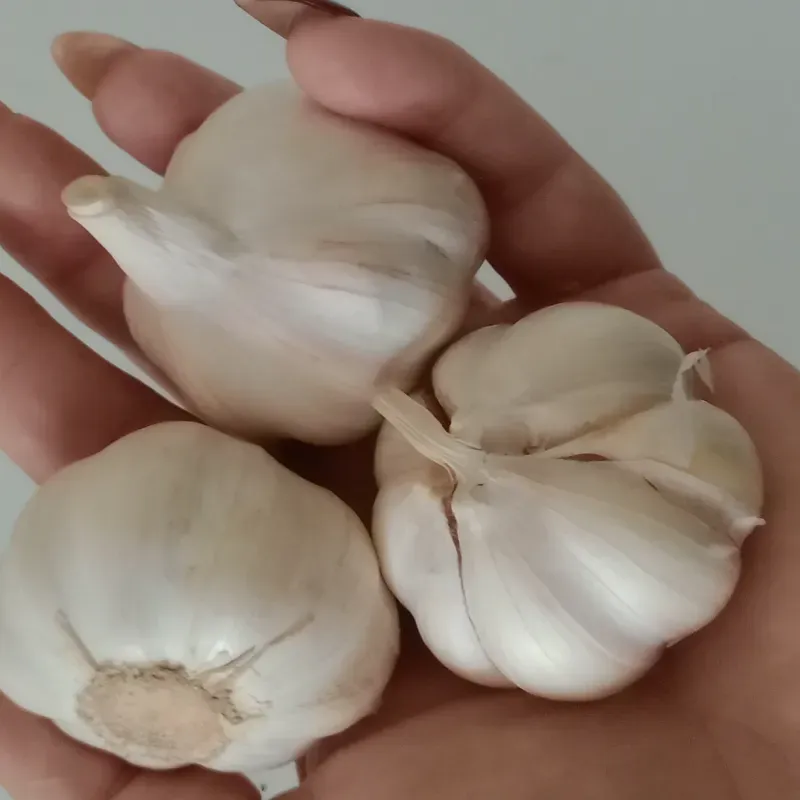 25 cabezas de ajo 