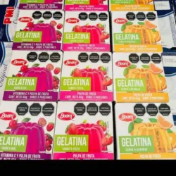 Gelatina 