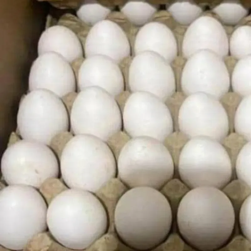 Huevos ( 15u)