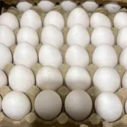 Huevos ( 30u)