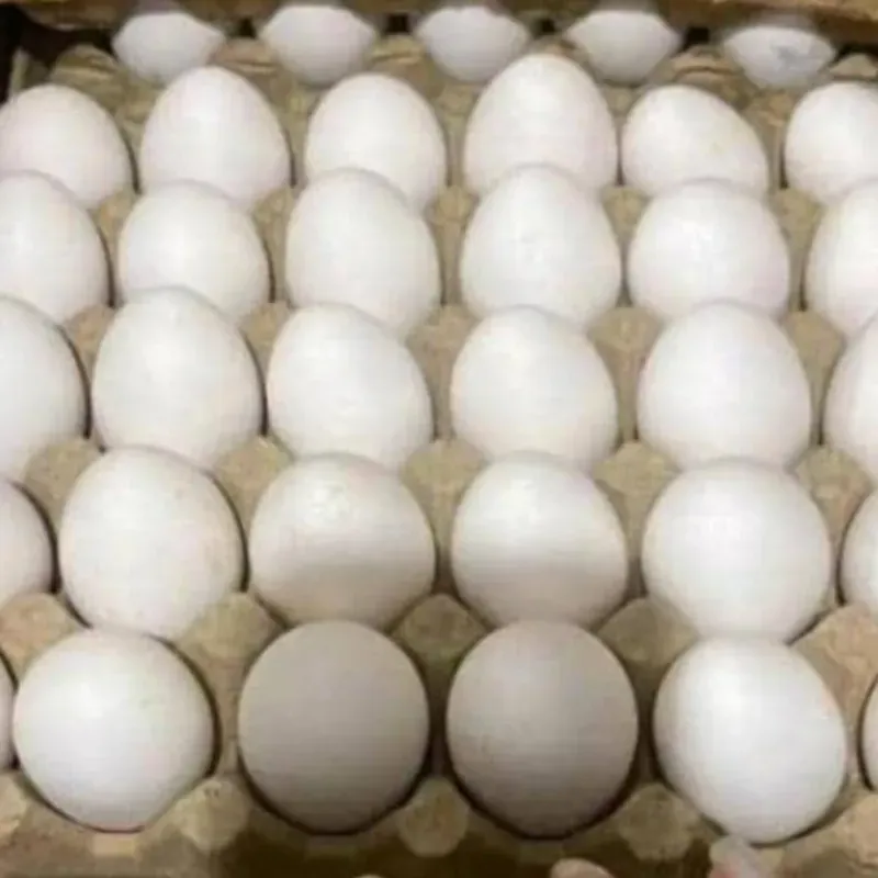 Huevos ( 30u)