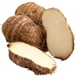 Malanga (2)