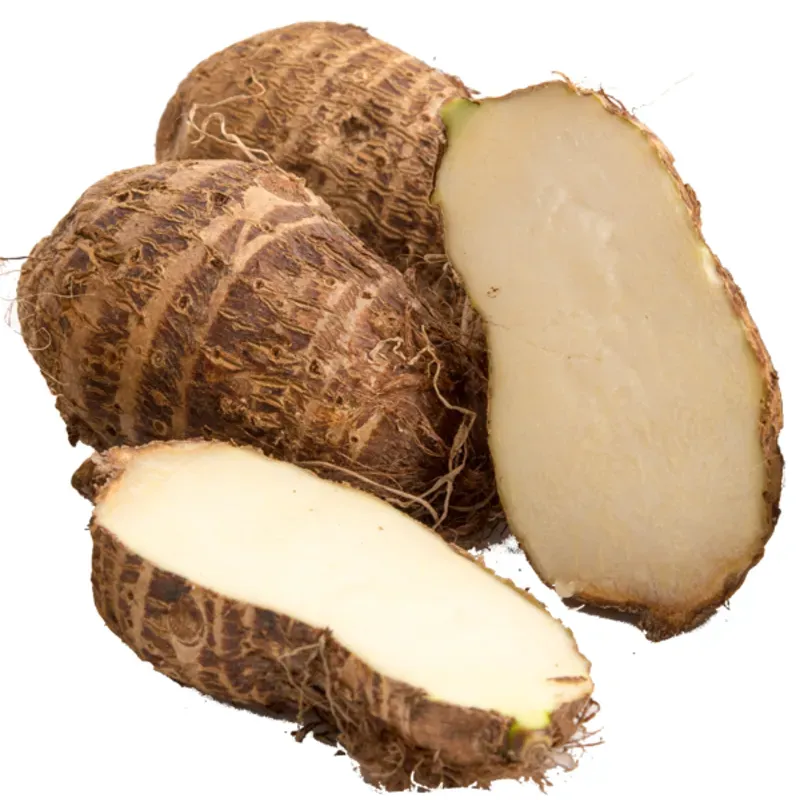 Malanga (2)
