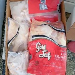 Pollo