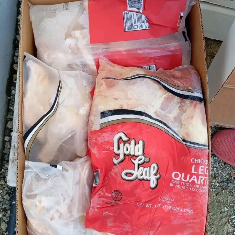 Pollo