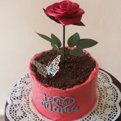Cake Mazeta