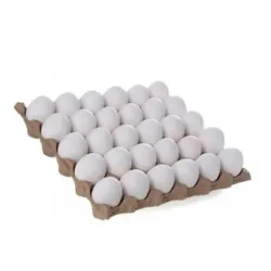 Cartón de Huevo 30u