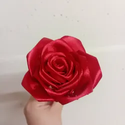 Rosa Eterna 