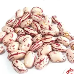 Frijoles japoneses