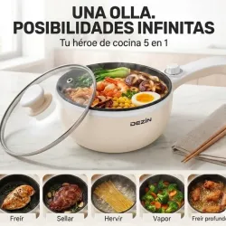 Olla Eléctrica Ideal Para Ecoflow  〽️DEZIN