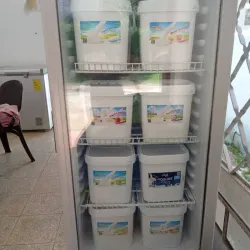 YOGURT PROBIOTICO 