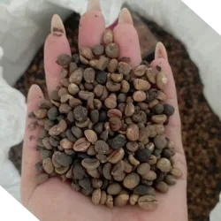 Café en grano