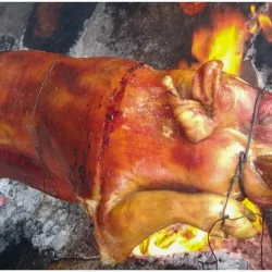 CERDITO LOCO