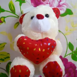 Osito de peluche 🧸