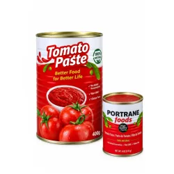 Pasta de Tomate Portrane Foods