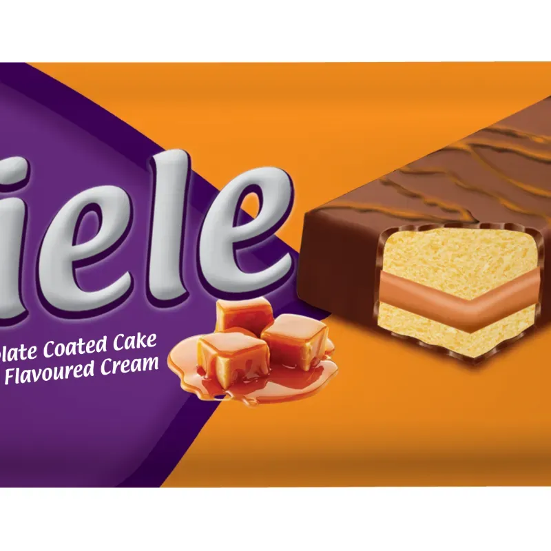 Pastel cubierto de chocolate y crema de caramelo 