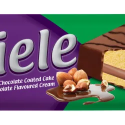 Pastel cubierto de chocolate y crema de chocolate 