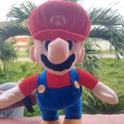 Mario (40cm) de largo