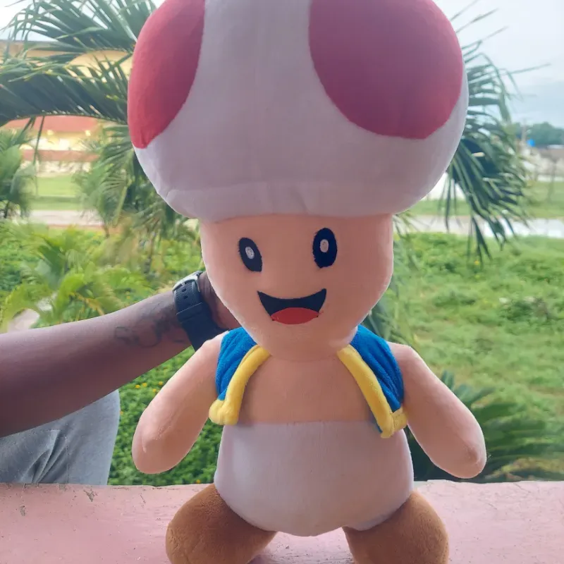 Toad(40cm) de largo