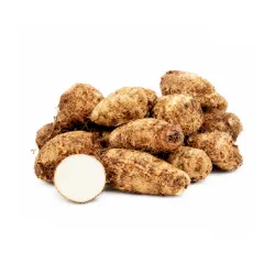 Malanga