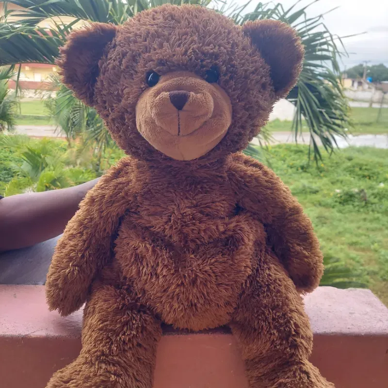 Oso(75cm) de largo