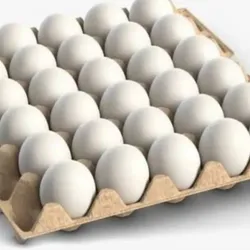 Fili de huevos 30u
