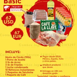 COMBO BASIC 67 USD