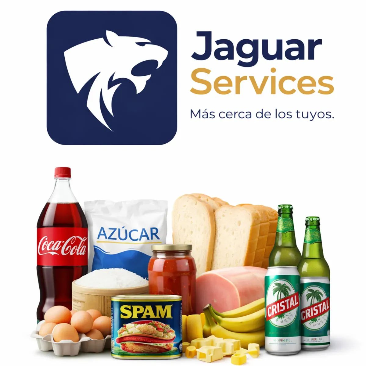 Combos JAGUAR SERVICE