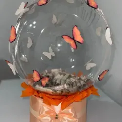 Globo burbuja con dinero dentro
