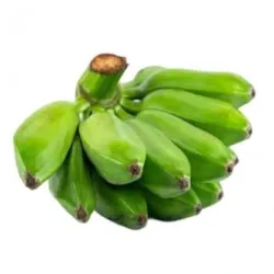Plátano burro
