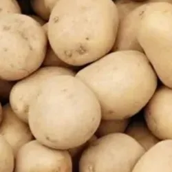 Bolsa de papas 5lb