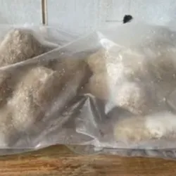 Croquetas de pollo