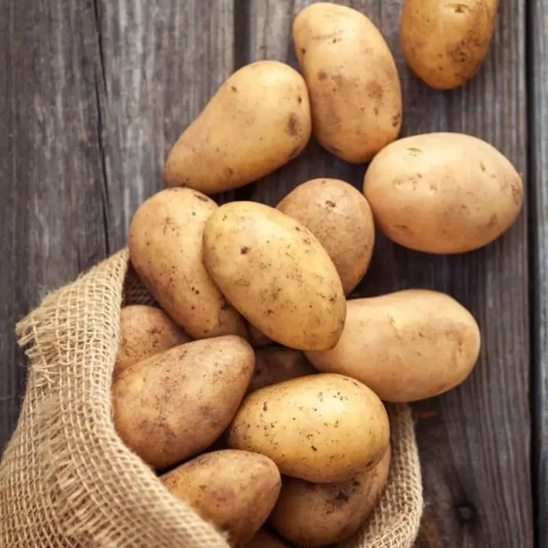 Papas 