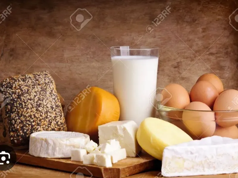 Lácteos y huevos 