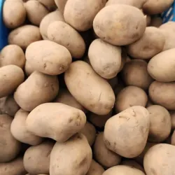 Papas 