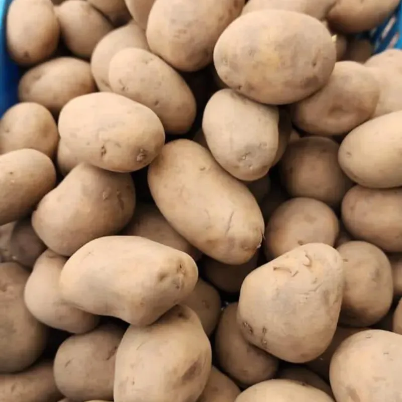 Papas 
