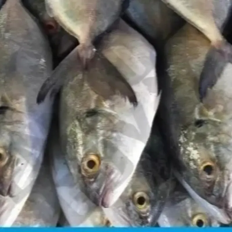 Pescado 