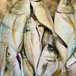 Pescado