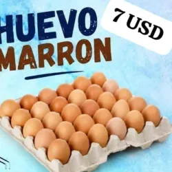 Huevo marrón