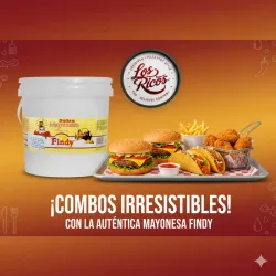 Mayonesa Findy de 4kg