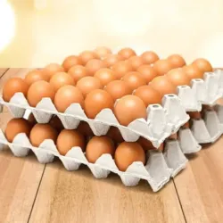 Cartón de Huevos 
