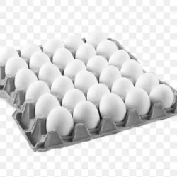 Cartón de Huevos 