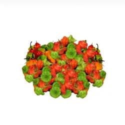 Ají Cachucha (3lbs)